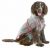 Karlie Przezroczysty płaszcz przeciwdeszczowy Classic dla psów w 8 rozmiarach (od 30 60 cm)
