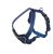 Nobby Comfort Preno Szelki XS-S niebieskie 30-35cm