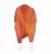 Pet Nova Vin Chicken Grill 19cm