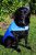 Prestige Pet Products Płaszcz Prestige Cool Coat psy, niebieski, rozmiar M