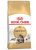 Royal Canin Adul Maine Coon 2 kg