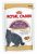 Royal Canin Breed Royal Canin Feline Breed British Shorthair Multipak Saszetki 4X85G