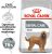 Royal Canin CCN Maxi Dental Care 3 kg