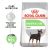 Royal Canin CCN Mini Digestive Care 3 kg