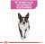 Royal Canin CCN Mini Relax Care 3 kg