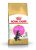 Royal Canin Kitten Maine Coon 2 kg
