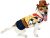 Rubie’s Rubie’s 3580210 – Woody kostium dla psa, XS, żółto-brązowy 580210XS