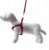 Smycz+szelki Soft Style Happet czerwone XL2.5cm