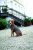 Trixie langley pies swetry, 21 cm, brązowy