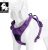 True Love tlh5651 Dog Outdoor Harness, m, fioletowy